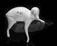 Waschbär Nr.PT667 liegend rechts 5-14-22-47-47
